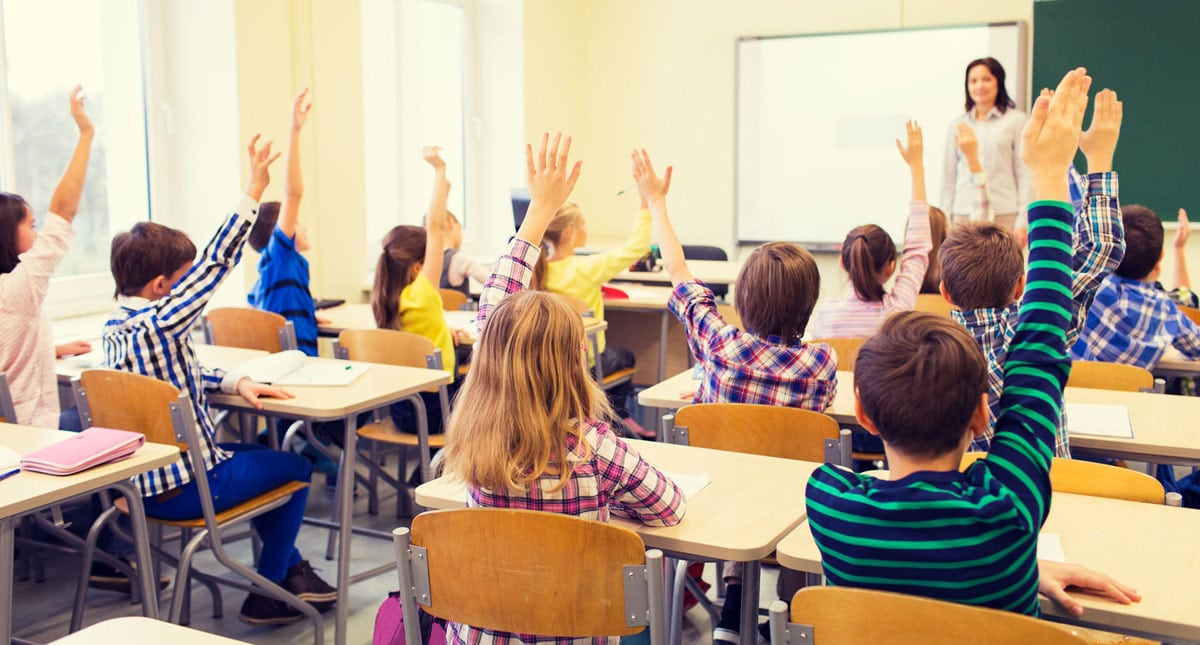 VOICI LES CATÉGORIES D'ÉLÈVES DANS LES CLASSES.