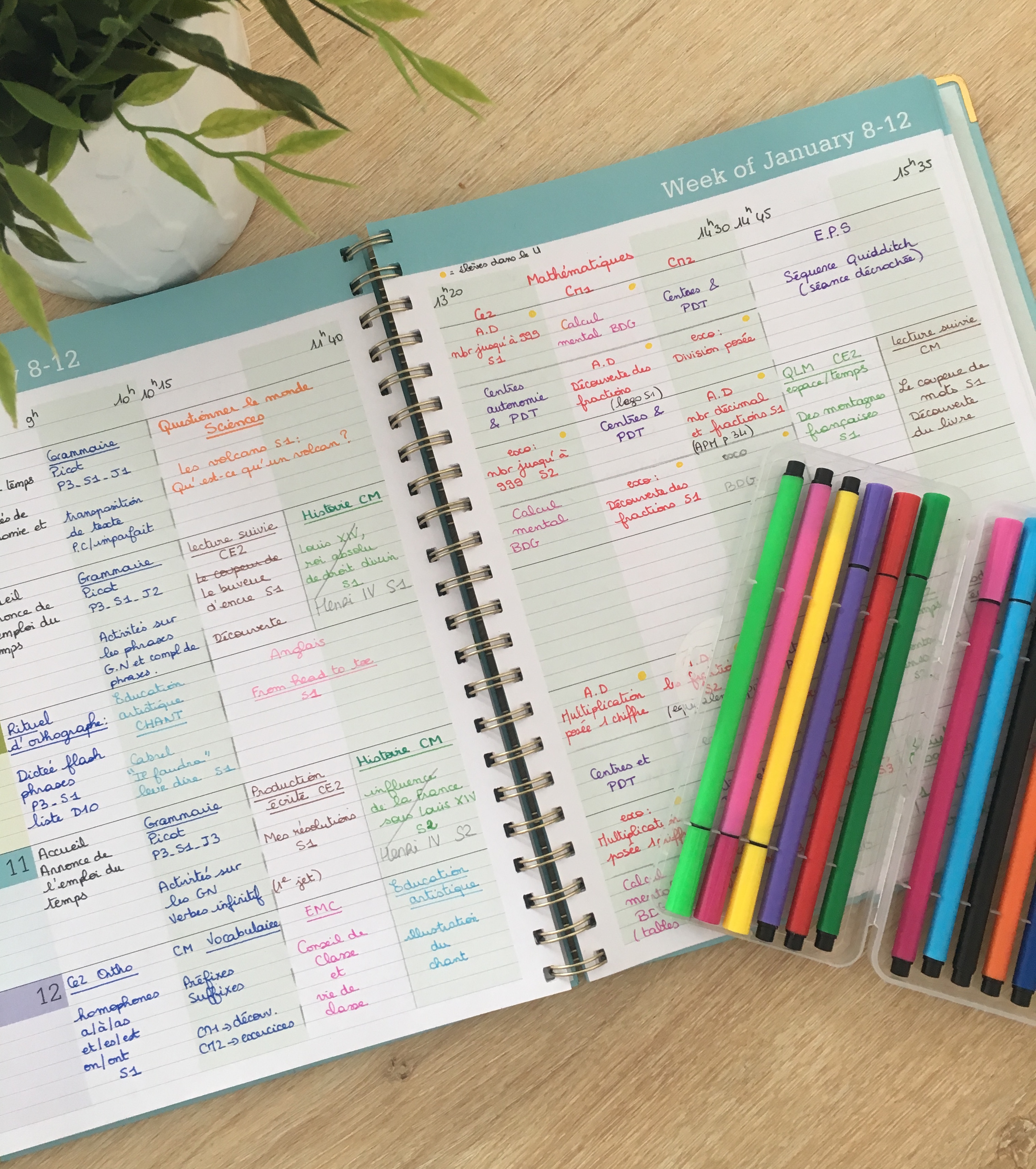 LE CAHIER JOURNAL AU PRIMAIRE.