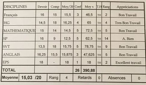 Bulletin scolaire : remplacer le rang par des zones de performance pour motiver les élèves 