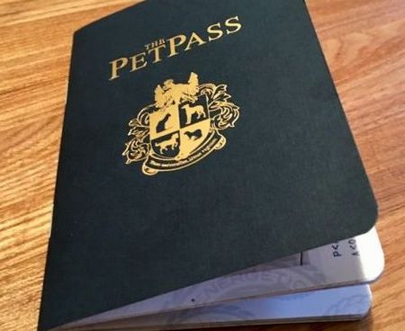 Passeports africains 2026 : les 10 plus puissants selon Henley & Partners